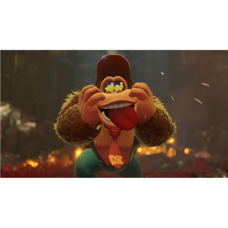 Nintendo 10016222