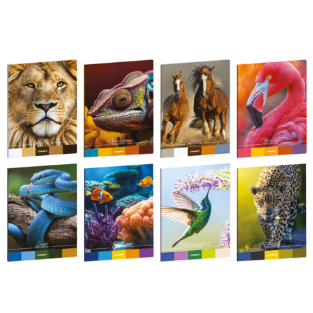 Maxiquaderno Animal Palette - A4 - 1 rigo - 21 fogli - 80 gr - Blasetti