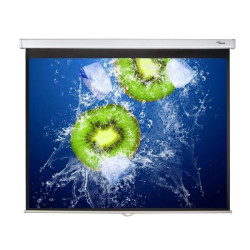 Optoma DS-3120PMG+