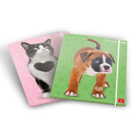 Pigna CARTELLE A 3 LEMBI A4 DORSO 1,3 CM