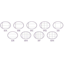 Pigna MAXI QUADERNO DOLCI CUCCIOLI A4 80GR - 5MM