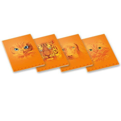 Pigna QUADERNO MONOCROMO ORANGE A4 100GR - 5 MM