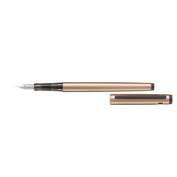 Pilot EXPLORER