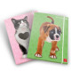 Pigna CARTELLE A 3 LEMBI A4 DORSO 1,3 CM