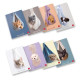 Pigna MAXI QUADERNO DOLCI CUCCIOLI A4 80GR - 1 RIGO