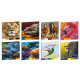 Maxiquaderno Animal Palette - A4 - 1 rigo - 21 fogli - 80 gr - Blasetti
