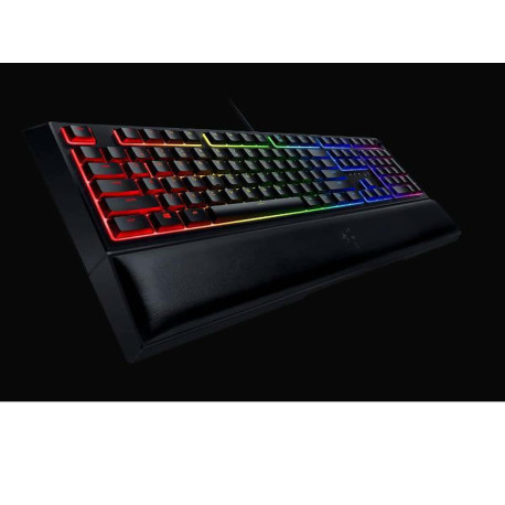 Razer - ORNATA V2