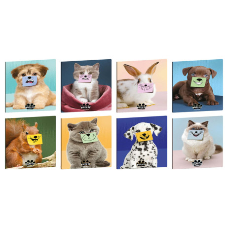Maxiquaderno Pets-IT - A4 - 5mm c/margine - 21 fogli - 80 gr - Blasetti