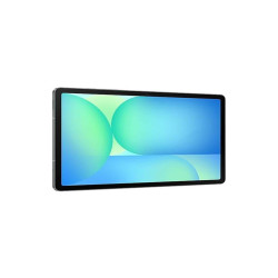 Samsung Galaxy Tab S10 FE 5G Entreprise Edition Samsung Exynos LTE - Grigio