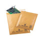 Sealed Air CF50BUSTE MAILLITE 22X33 AVANA