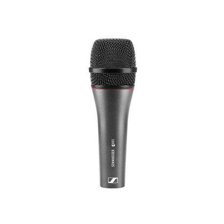 Sennheiser E865 Microfono a condensatore supercardioide per parlato e voce