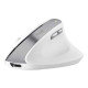 Mouse Ergonomico Bayo II wireless - bianco - Trust