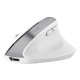 Mouse Ergonomico Bayo+ wireless - bianco - Trust