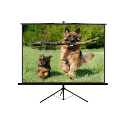 Sopar telo videoproiettore New Junior 160x160