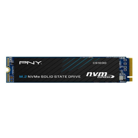 SSD CS1030 M.2 GEN3 250GB