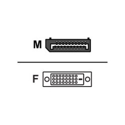 Fujitsu - Cavo DisplayPort - DisplayPort (M) a DVI-D (F) - per Celsius W5011- ESPRIMO D6011, D7010, D7011, D9010, D9011, G5011,