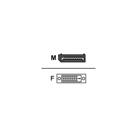 Fujitsu - Cavo DisplayPort - DisplayPort (M) a DVI-D (F) - per Celsius W5011- ESPRIMO D6011, D7010, D7011, D9010, D9011, G5011,