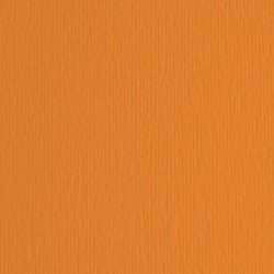 Cartoncino Elle Erre - 50x70cm - 220gr - arancio 108 - Fabriano -  blister 20 fogli