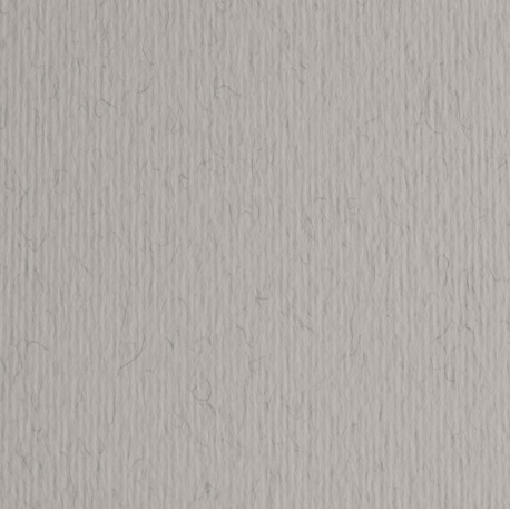 Cartoncino Elle Erre - 50x70cm - 220gr - china 30 - Fabriano - blister 20 fogli