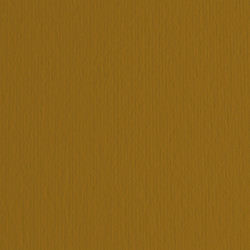 Cartoncino Elle Erre - 50x70cm - 220gr - marrone 106 - Fabriano -  blister 20 fogli
