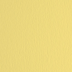 Cartoncino Elle Erre - 50x70cm - 220gr - onice 117 - Fabriano -  blister 20 fogli
