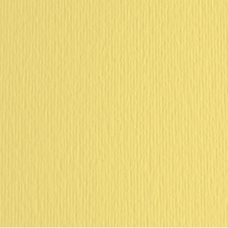 Cartoncino Elle Erre - 50x70cm - 220gr - onice 117 - Fabriano -  blister 20 fogli