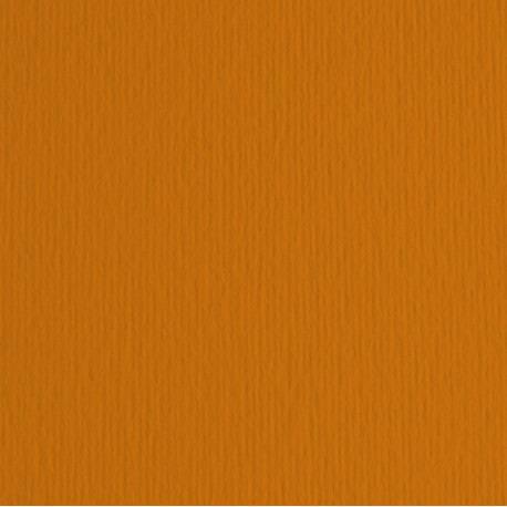 Cartoncino Elle Erre - 50x70cm - 220gr - terra bruciata 119 - Fabriano -  blister 20 fogli