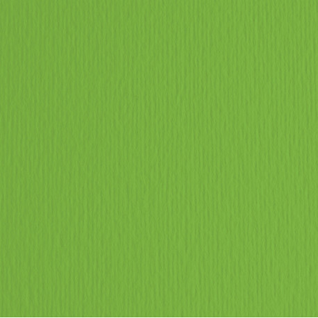 Cartoncino Elle Erre - 50x70cm - 220gr - verde 111 - Fabriano -  blister 20 fogli