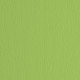 Cartoncino Elle Erre - 50x70cm - 220gr - verde pisello 110 - Fabriano -  blister 20 fogli