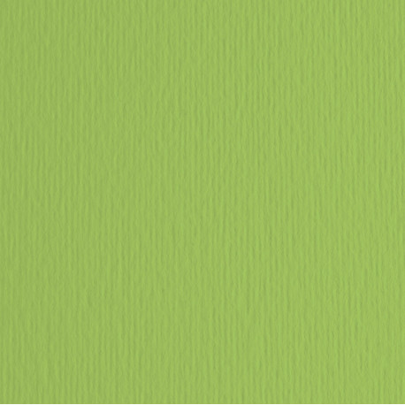 Cartoncino Elle Erre - 50x70cm - 220gr - verde pisello 110 - Fabriano -  blister 20 fogli