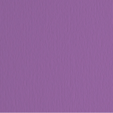 Cartoncino Elle Erre - 50x70cm - 220gr - viola 104 - Fabriano - blister 20 fogli