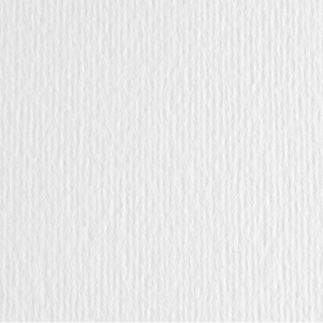 Cartoncino Elle Erre - 70x100 cm - 220 gr - bianco - Fabriano - blister 10 fogli