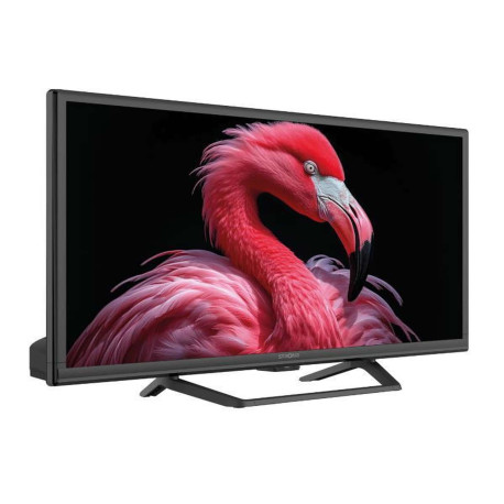 Strong 24' T2S2 Google TV 12220v