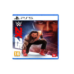 Take Two Interactive WWE 2K25
