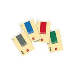 Pigna Pignastyl - Blocchetto - graffettato - A5 - 70 fogli / 140 pagine - a righe - disponibile in colori assortiti