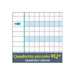 Blasetti One Color Didattico - Taccuino - A4 Maxi - 19 fogli / 38 pagine - a quadretti - disponibile in colori assortiti