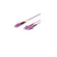 WP Europe - PATCH 2FO OM4 LCDSCD VIOLA 10M