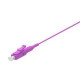 WP Europe PIGTAIL LC OM4 TIGHT 2M