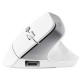 Trust  BAYO II MOUSE WIRELESS ERGONOMICO VERTICALE RICARICABILE - 50% PLASTICA RICICLATA - BIANCO