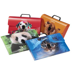 Valigetta Animal Friends Color - 28 x 38 cm - dorso 5 cm - PP - fantasie assortite - Colorosa