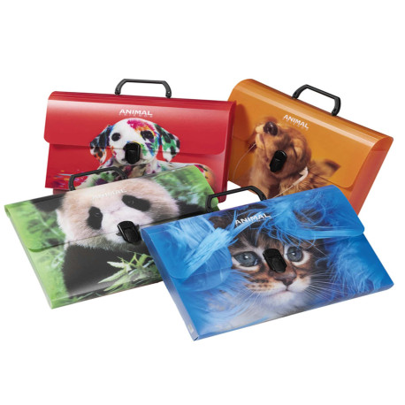 Valigetta Animal Friends Color - 28 x 38 cm - dorso 5 cm - PP - fantasie assortite - Colorosa