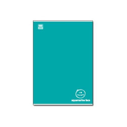 Blasetti Colorface - Taccuino - A4 - 18 fogli / 36 pagine - quadrettato - disponibile in colori assortiti