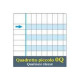 Blasetti One Color Didattico - Taccuino - A4 Maxi - 19 fogli / 38 pagine - quadretti - disponibile in colori assortiti