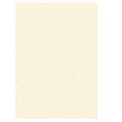 Diplomi in pergamena - stampa offset - A3 - 160 gr - neutro avorio - Kartos - conf. 10 pezzi