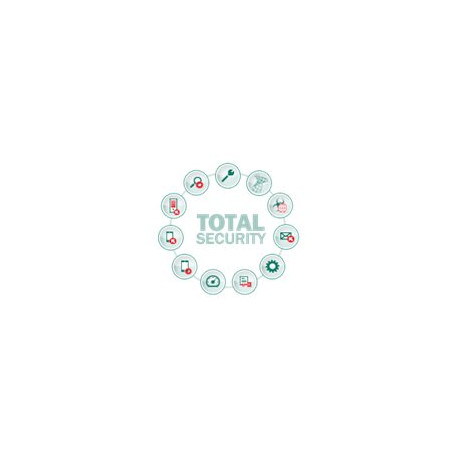 Kaspersky Total Security for Business - Licenza a termine (2 anni) - 1 nodo - volume - Livello T (250-499) - Europa