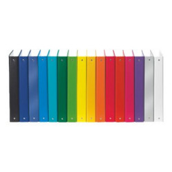 Esselte Meeting - Quaderno ad anelli - larghezza dorsale 40 mm - per 220 x 300 mm - capacità 200 fogli - arancione