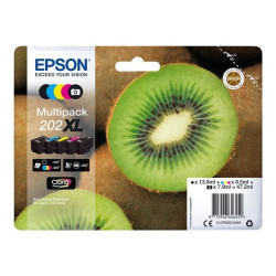 Epson Multipack 202XL - Confezione da 5 - alta capienza - nero, giallo, ciano, magenta, nero per foto - originale - blister - c