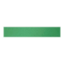 Favini Bristol Color 200 Sigillo T1 60 - Cartoncino - 700 x 1000 mm - 10 fogli - verde - 200 g/m² - cartone