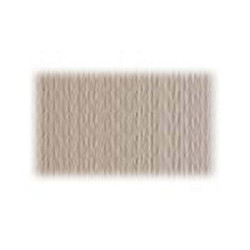 Fabriano Elle Erre - Cartoncino - 700 x 1000 mm - 10 fogli - china - 220 g/m² - cartone