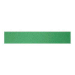 Favini Bristol Color 200 Sigillo T1 60 - Cartoncino - 700 x 1000 mm - 10 fogli - verde - 200 g/m² - cartone